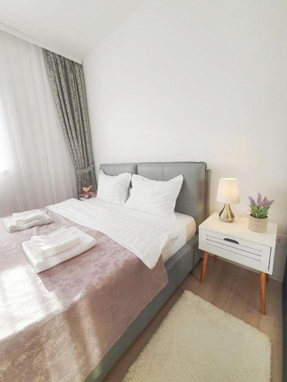 Skyblue - 2 Bedrooms & Free Parking Apartment Oradea